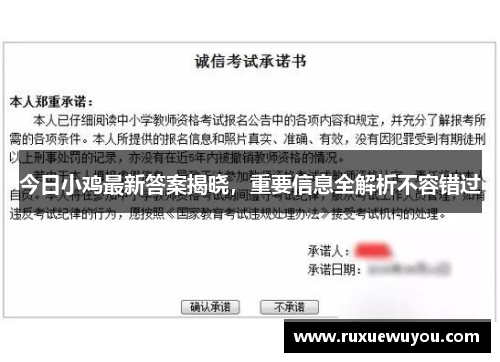 今日小鸡最新答案揭晓，重要信息全解析不容错过